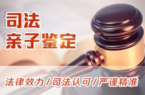 湖北司法DNA鉴定要如何办理,湖北司法DNA鉴定需要多少费用